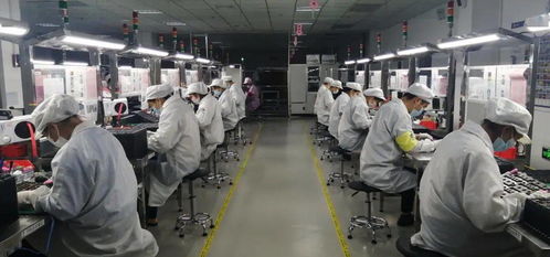 三次逆周期投資 弘信電子董事長李強 不做披著高科技光環(huán)的代工廠